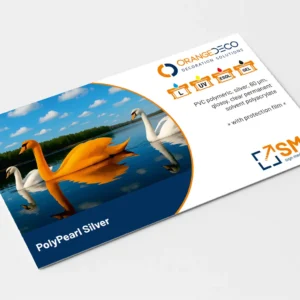 OrangeDECO PolyPearl Silver